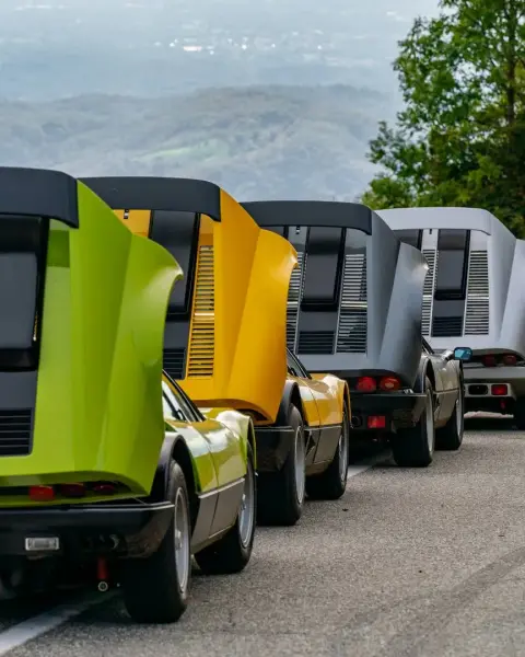 Slideshow-251 Gallery Picture 22