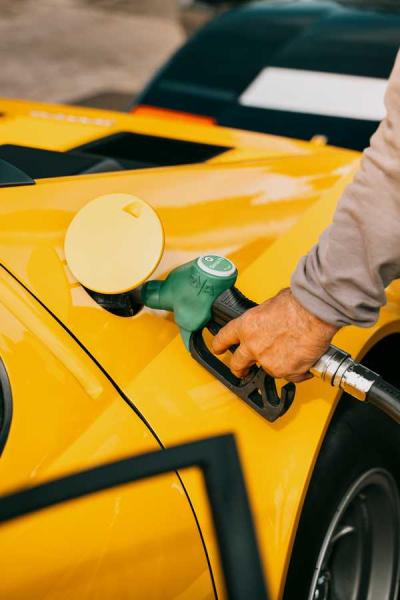 Slideshow-250 Gallery Picture 60