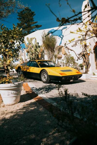 Slideshow-250 Gallery Picture 73