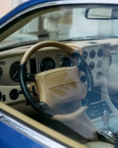 Slideshow-248 Gallery Picture 3