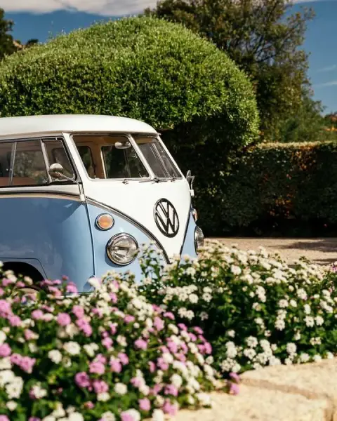 Slideshow-245 Gallery Picture 12