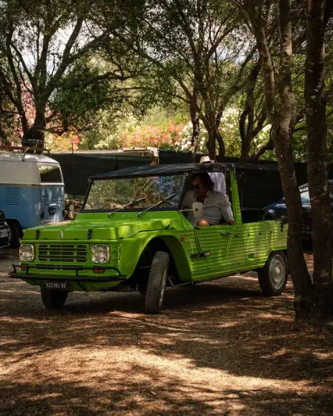 Slideshow-245 Gallery Picture 14