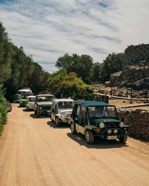 Slideshow-245 Gallery Picture 19