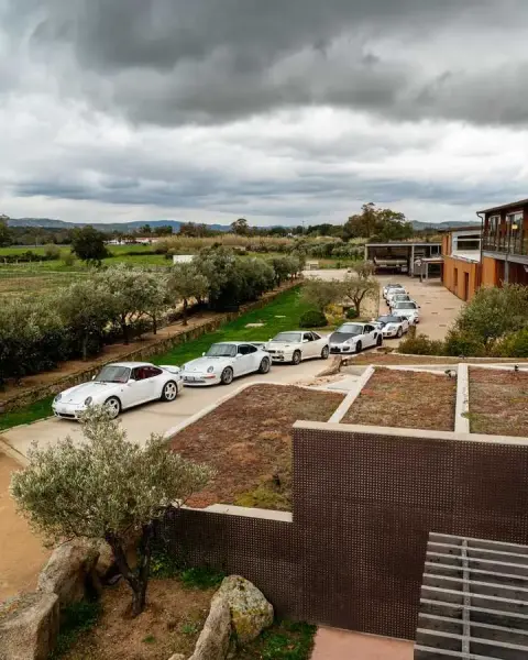 Slideshow-244 Gallery Picture 8