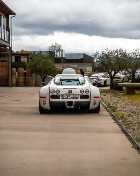 Slideshow-244 Gallery Picture 9