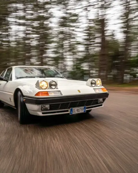 Slideshow-244 Gallery Picture 10