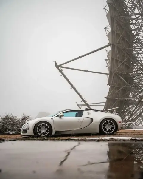 Slideshow-244 Gallery Picture 17