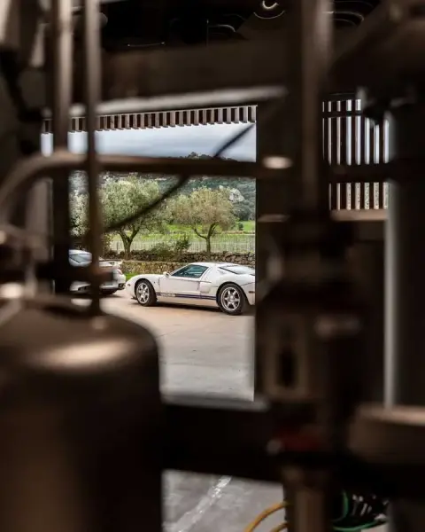 Slideshow-244 Gallery Picture 19