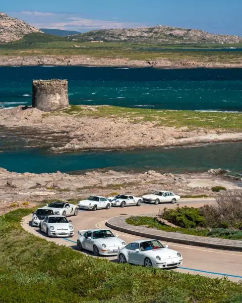 Slideshow-244 Gallery Picture 24