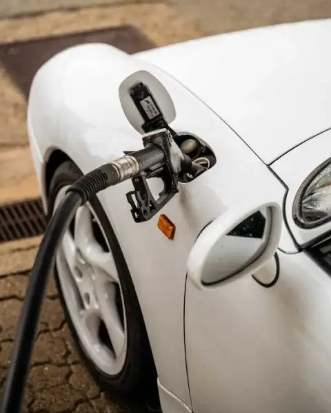 Slideshow-244 Gallery Picture 30