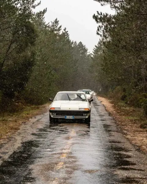 Slideshow-244 Gallery Picture 32