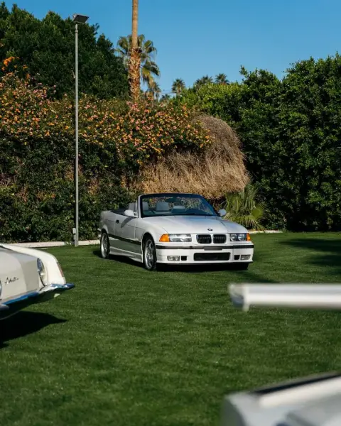 Slideshow-243 Gallery Picture 32