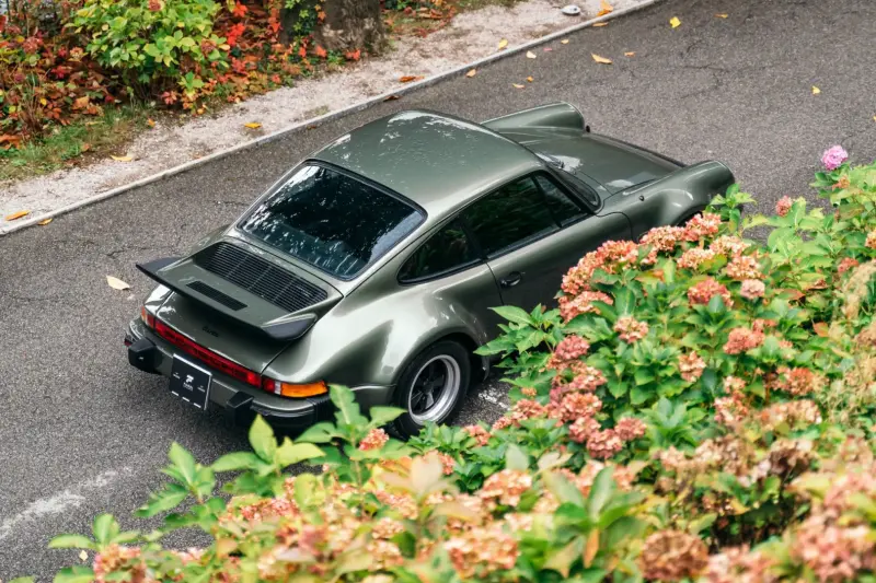 Slideshow-241 Gallery Picture 0