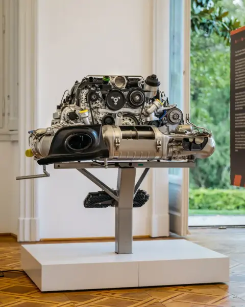 Slideshow-241 Gallery Picture 35