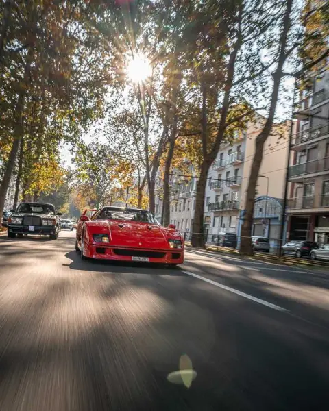 Slideshow-240 Gallery Picture 4