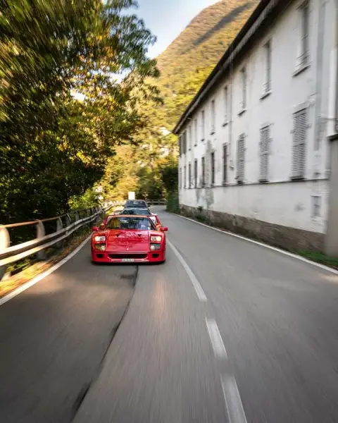 Slideshow-240 Gallery Picture 32