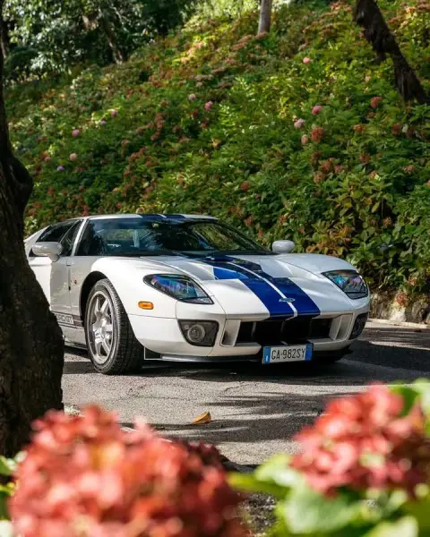 Slideshow-240 Gallery Picture 39